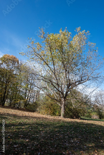 Autumn view of South Park in city of Sofia, Bulgaria