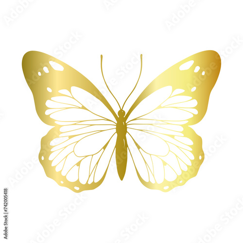 Decorative, winged insect of a golden butterfly. Vector graphics. © Екатерина Якубович