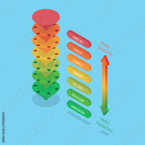 3D Isometric Flat Vector Illustration of Classification System, Major Taxonomic Ranks