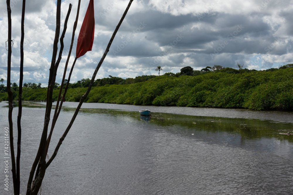 Fototapeta premium Canoes docked on the Jaguaripe River