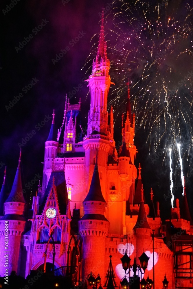 Walt Disney World Resort. Built in 1971, Magic Kingdoms Cinderella