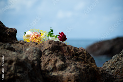 Flowers on top of a beach rock. photo