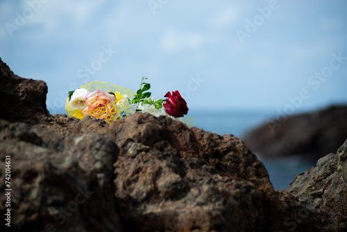 Canvas Print Flowers on top of a beach rock.