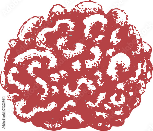 Coral cerebro en vector para print