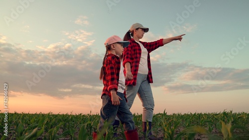 Mom daughter hold hands in field. Mother, child walk on field, sunset. Kid girl, mom go hand in hand, field corn sprouts. Family farming business. Agricultural industry. Growing corn, organic food