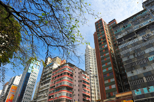 Fotografie Hong Kong's high-rise buildings and trees