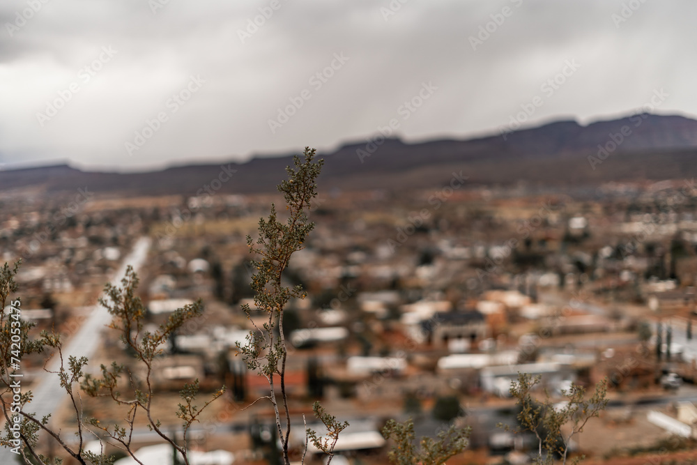 Little Branches Growing Buildings in Background City Scape Utah