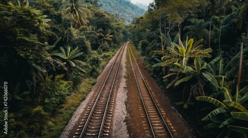 Cargo train tracks surrounded by a lush forest capture the essence of historical transportation