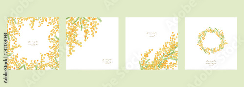 ミモザの水彩画。水彩タッチの春のミモザ背景。春の可愛いミモザ柄セット。Mimosa watercolor. Spring mimosa background with watercolor touch. Pretty spring mimosa pattern set.