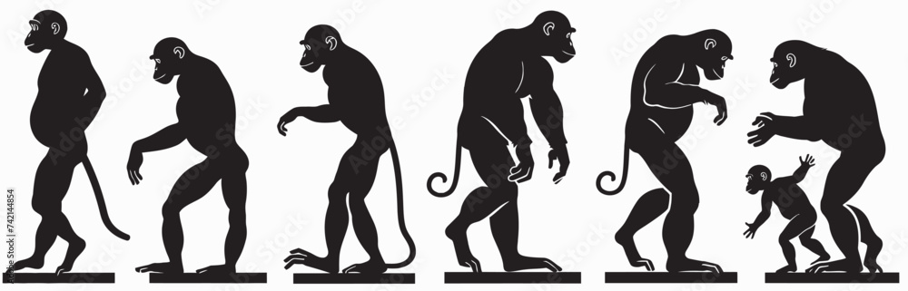 Fototapeta premium evolution from primate monkey