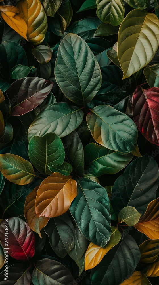 custom made wallpaper toronto digitalfull frame of leaf background, full frame of colorful leaves background and wallpaper, leaves with beautiful color