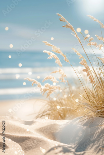 Tranquil summer beach landscape with sand dunes and sunlit beige plants