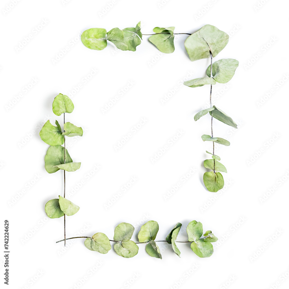Green leaves frame on a white background. Copy space.