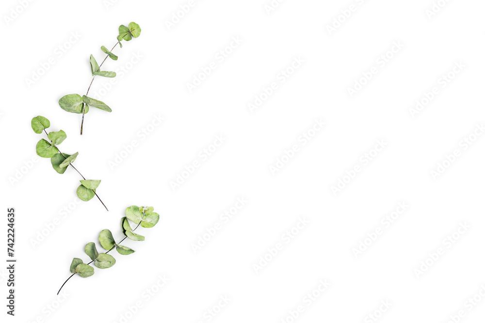 Green leaves frame on a white background. Copy space.