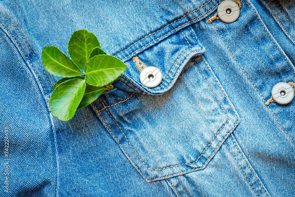 Close-up of a green leaf in a blue denim jacket pocket. A concept of sustainable slow fashion, circular economy, eco friendly clothing