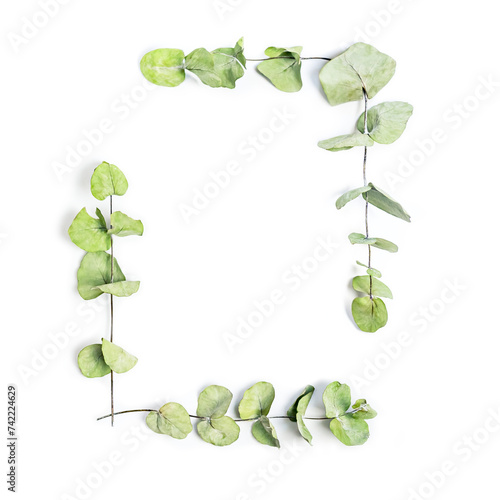 Obraz na płótnie Green leaves frame on a white background. Copy space. w salonie