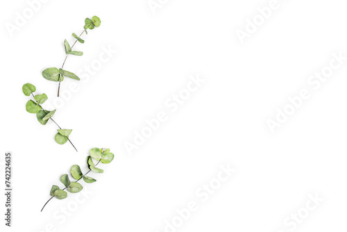 Green leaves frame on a white background. Copy space.