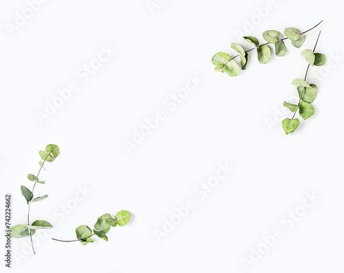 Obraz na płótnie Green leaves frame on a white background. Copy space. w salonie