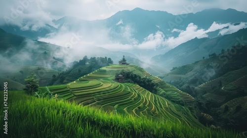 A vista of terraced fields adorned with lush green rice paddies stretching into the distance, where mountains rise against a backdrop of white clouds in a blue sky