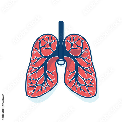 Human lungs flat design vector illustration