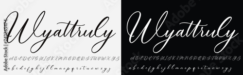 Signature Font Calligraphy Logotype Script Brush Font Type Font lettering handwritten