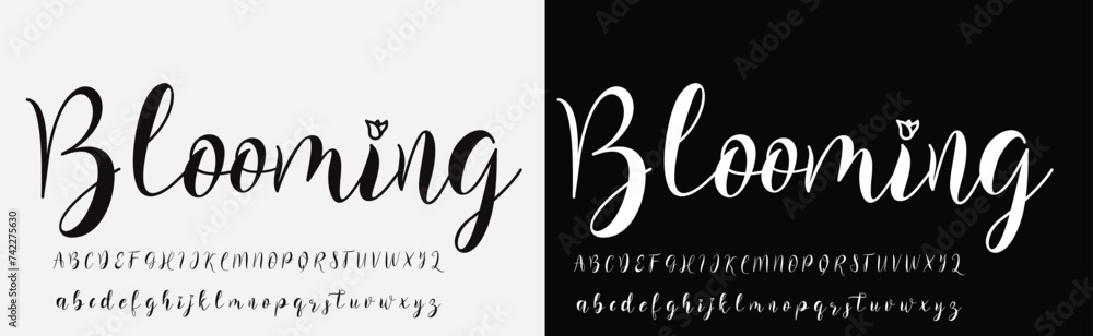 Obraz premium A hand-drawn signature logo design template