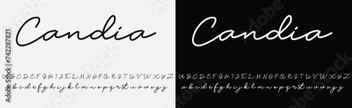 Lettering signature font isolated on grey background. brus style alphabet. Vector logo letters.