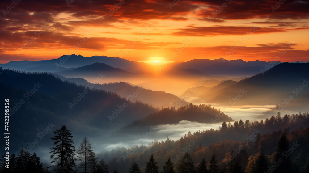 Green forest environment. Beautiful Forest Green forest environment. Beautiful Forest