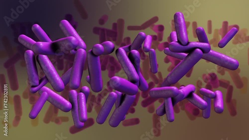 Shigella bacteria structure medical concept photo