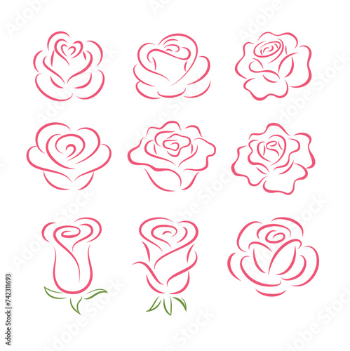 Set of rose flower design elements