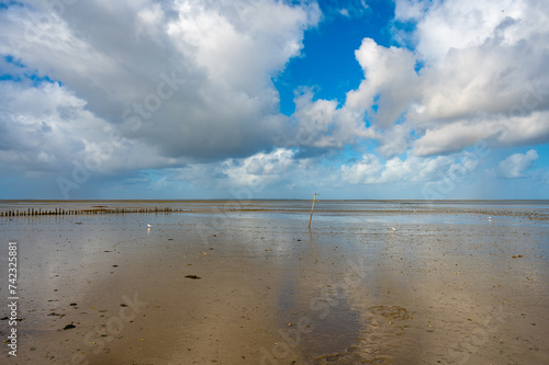 Wallpaper Mural Soiegelung im Wattenmeer Torontodigital.ca