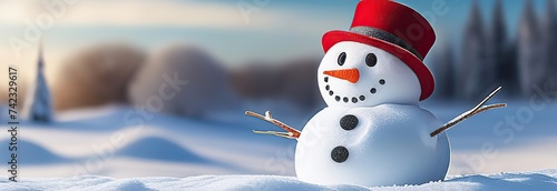 Panoramic view of happy snowman in winter secenery with copy space  © Kseniya Ananko
