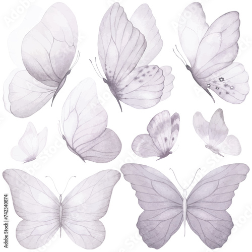 Butterfly collection. Watercolor illustration. Colorful Butterflies clipart set. Gray violet butterfly. Baby shower design elements. Party invitation  birthday celebration. Spring or summer decoration