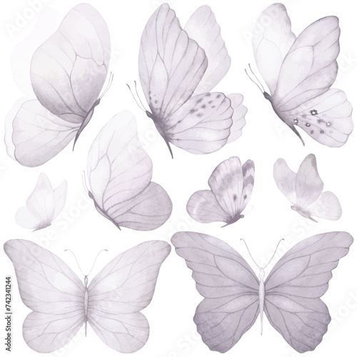 Butterfly collection. Watercolor illustration. Colorful Butterflies clipart set. Gray violet butterfly. Baby shower design elements. Party invitation, birthday celebration. Spring or summer decoration