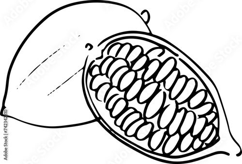 Sketch Chocolate Cocoa beans