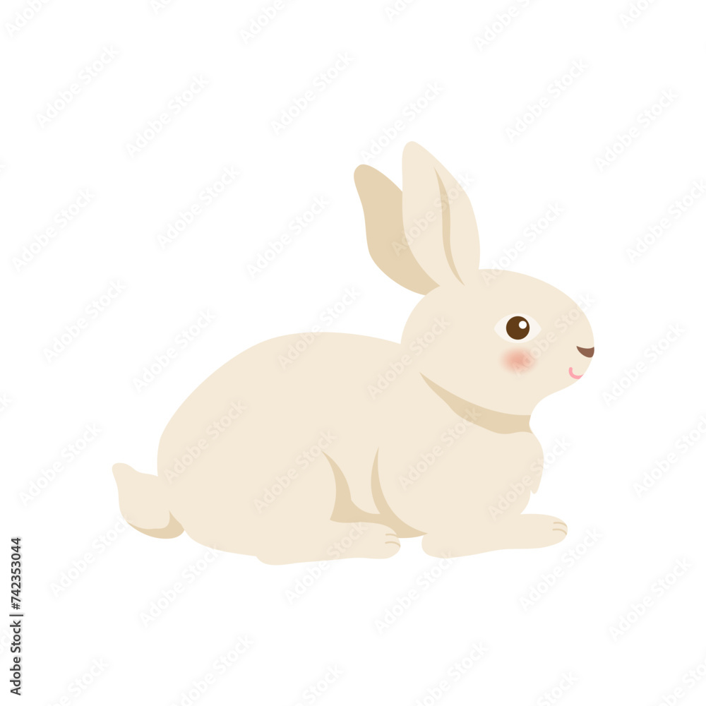 Cute rabbit sitting isolated on white background. Animal illustration. Cute rabbit sitting isolated on white background. Animal illustration.