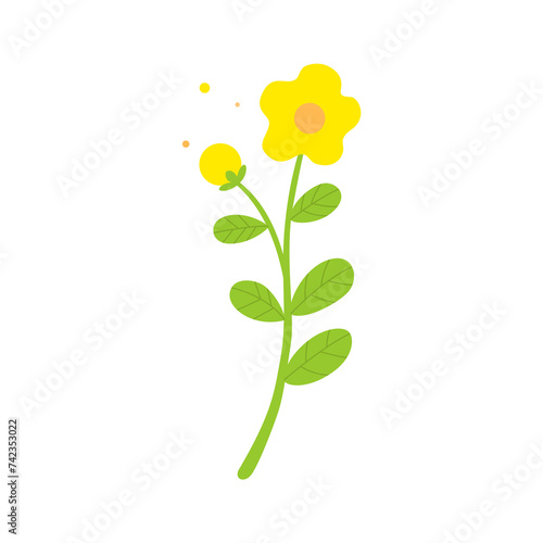 Cute yellow flower branch isolated on white background.