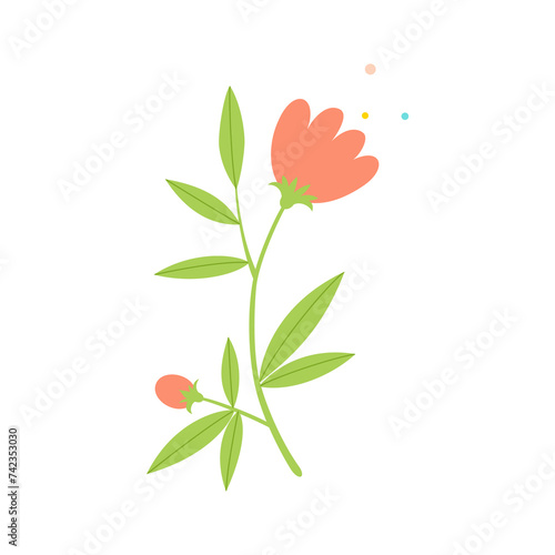 Cute red flower branch isolated on white background.