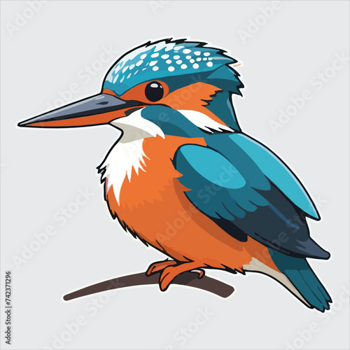 vector of kingfisher 