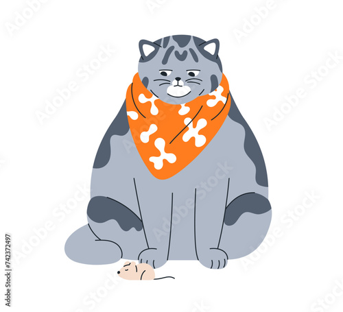 Cute funny cat looking at mouse. Fat chubby chunky full kitty in bib, ready f...