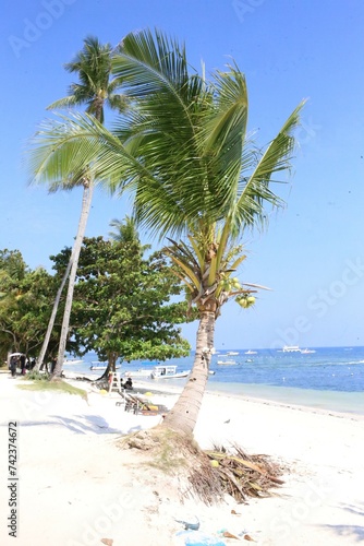 Beach in Panglao, the Philippines
