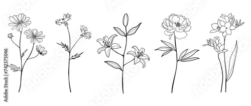 Set botanical hand drawn element vector. Collection of foliage, branch, floral, leaves, wildflower in line art. Minimal style blossom illustration design for logo, wedding, invitation, decor.