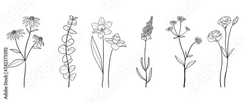 Set botanical hand drawn element vector. Collection of foliage, branch, floral, leaves, wildflower in line art. Minimal style blossom illustration design for logo, wedding, invitation, decor.