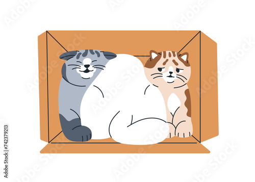 Cute funny cats in box. Amusing adorable kitties pets group, friends inside t...