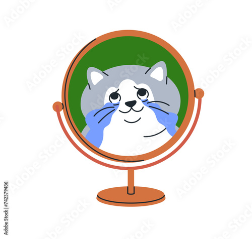 Cute funny cat looking at mirror reflection. Kitty crying, happy tears, touch...