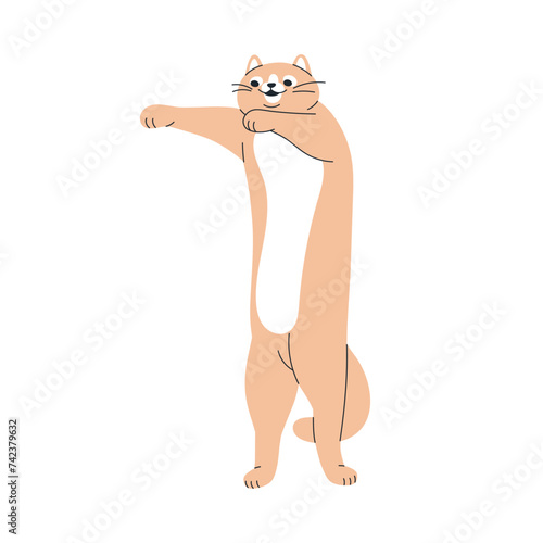 Cute funny cat going, dancing on hind paws. Happy joyful feline animal. Amusi...