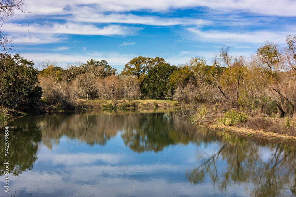 Sunny day at the Brazos Bend State Park