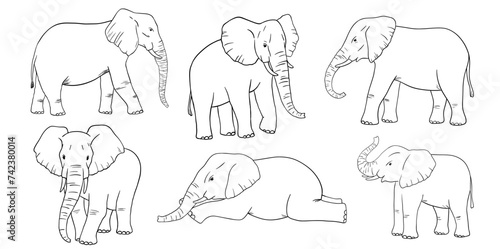 Elephant line sketch isolated on white background. Vector engraving illustrations set. Doodle african animals