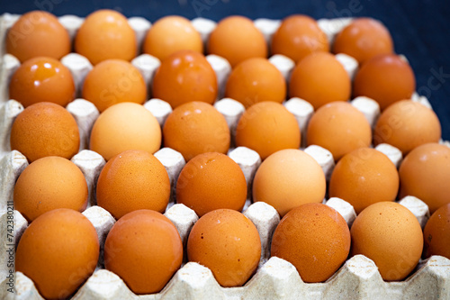 Fresh chicken eggs arranged in cartons.