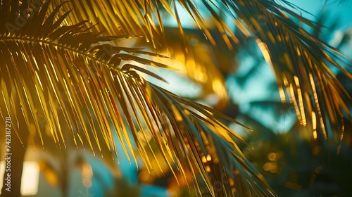 Tropical palm leaves at sunset  warm golden light. serene nature scene for relaxation  vacation backdrop. summer  travel  paradise concept. AI